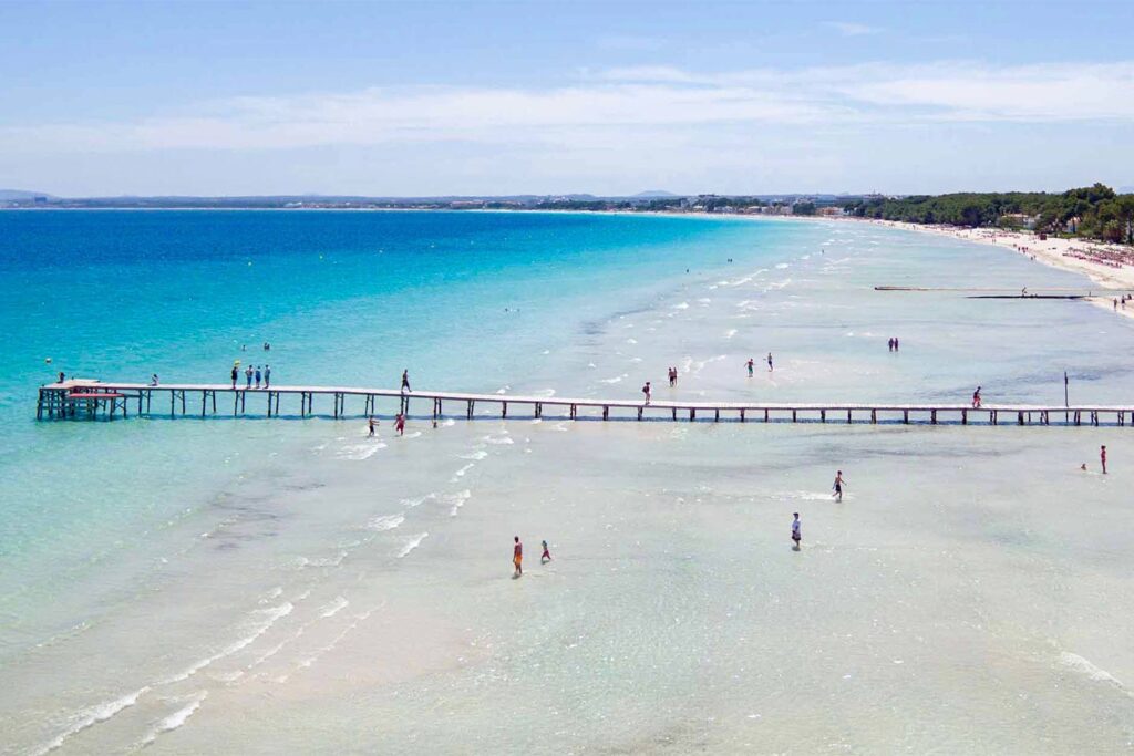 ALCUDIA BEACH 1